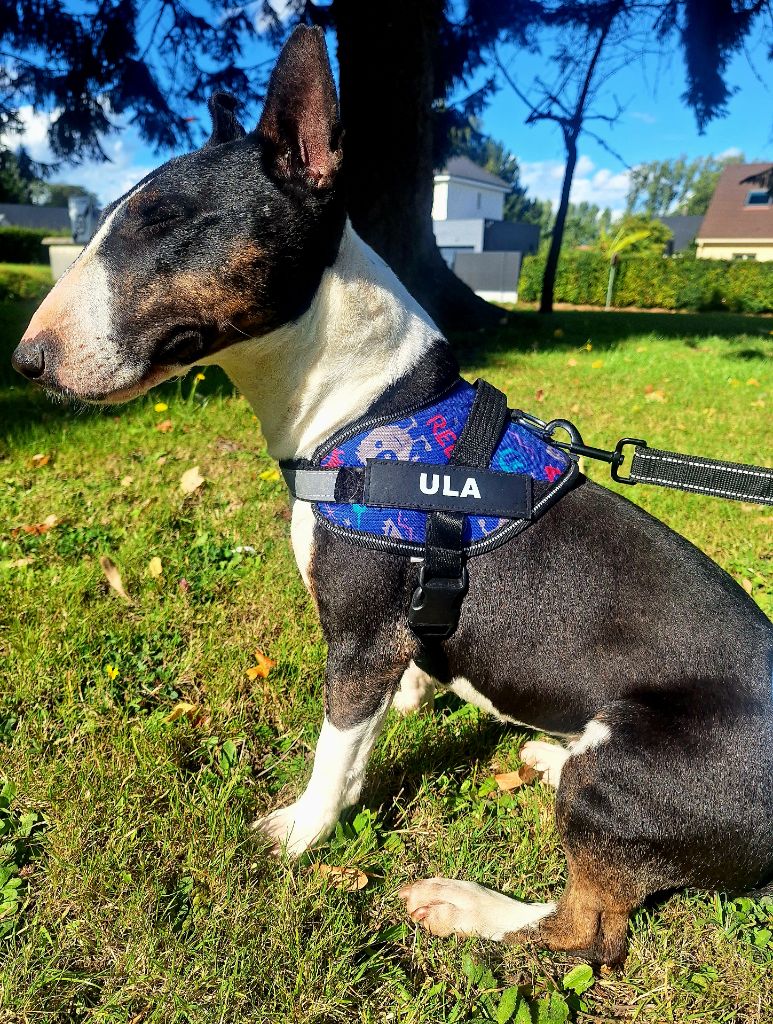 Una (Sans Affixe)